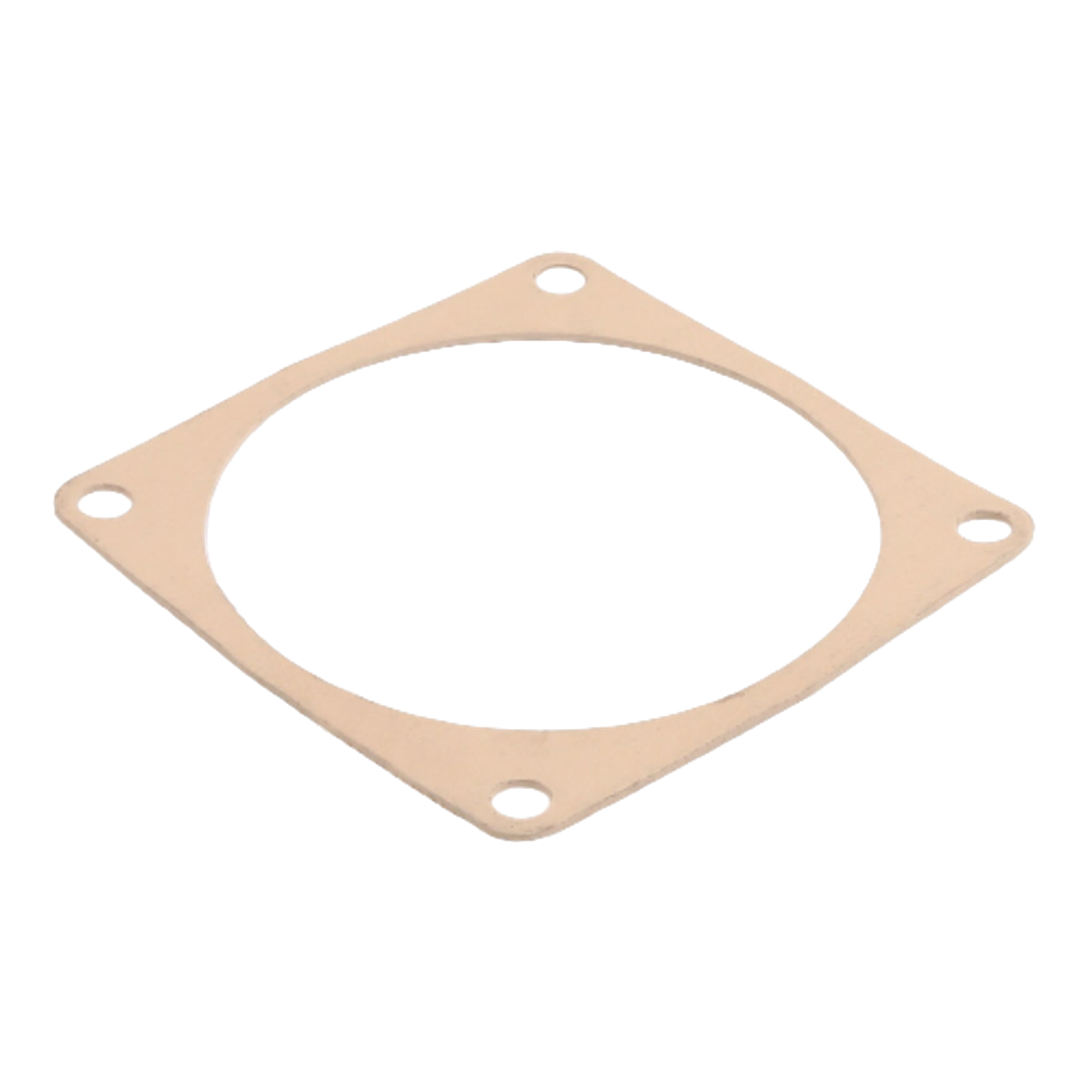 GASKET FOR LONG FINN FILTER TO TANK
