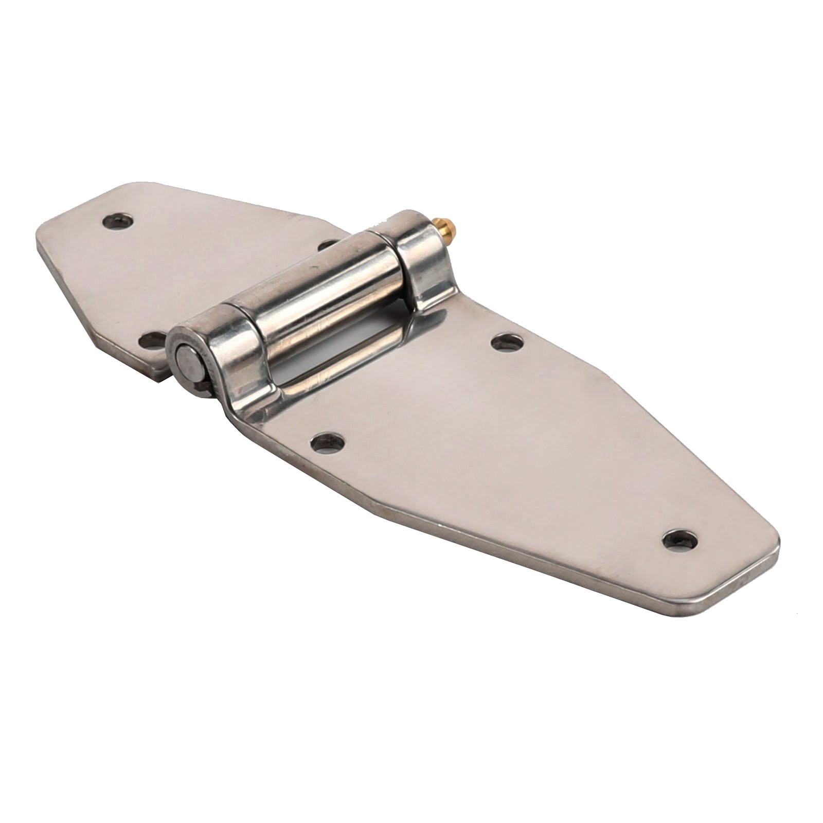 STAINLESS STEEL HINGE