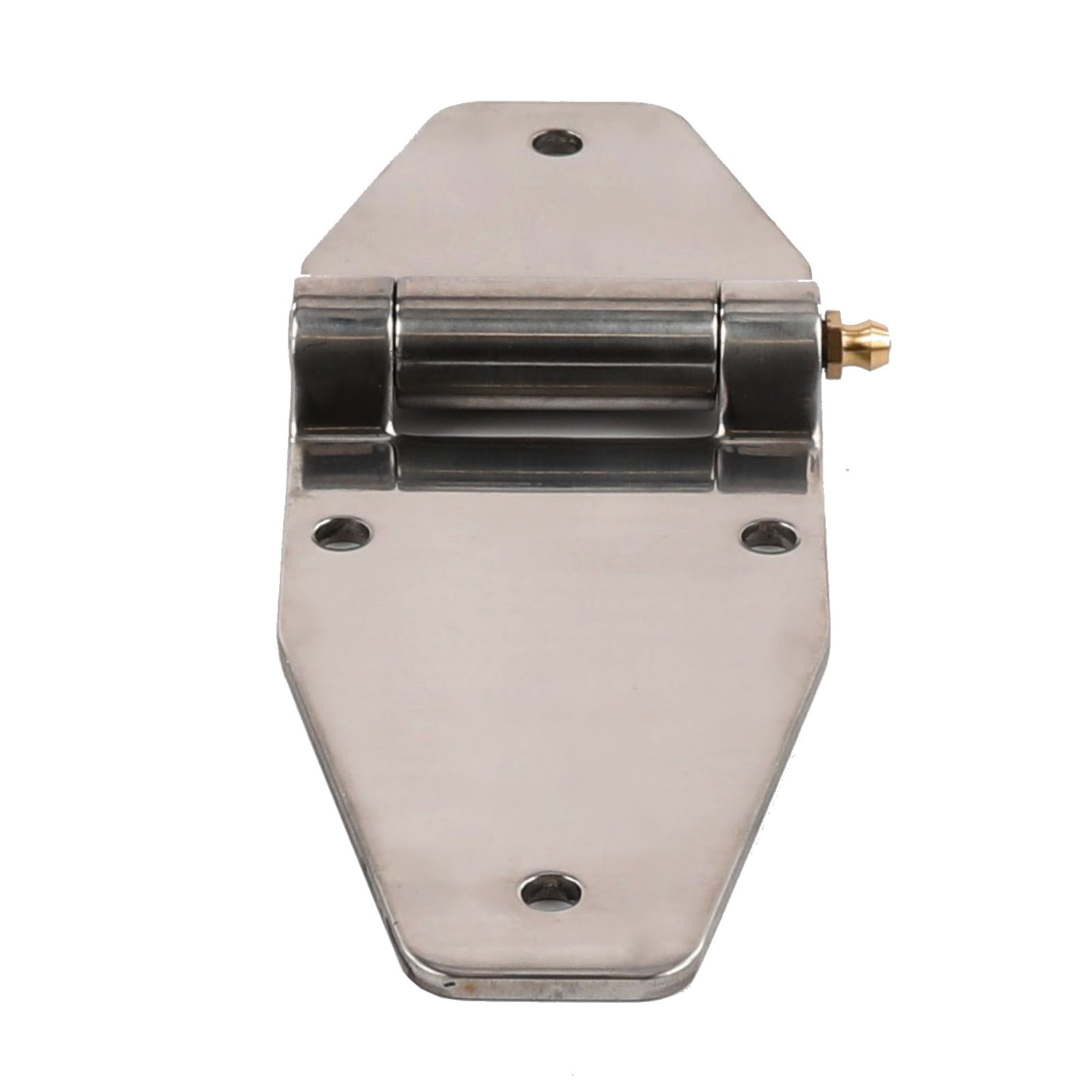 STAINLESS STEEL HINGE