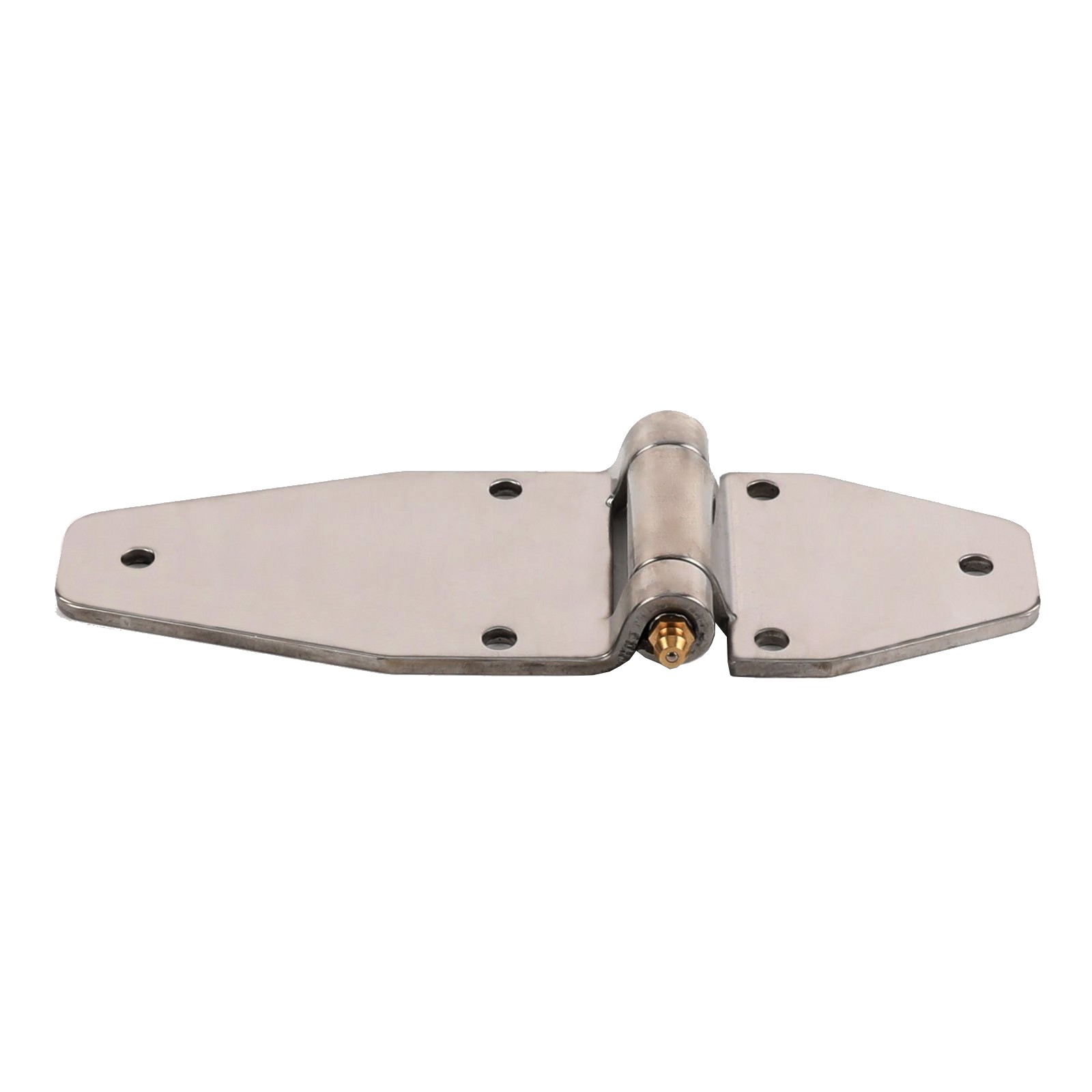 STAINLESS STEEL HINGE