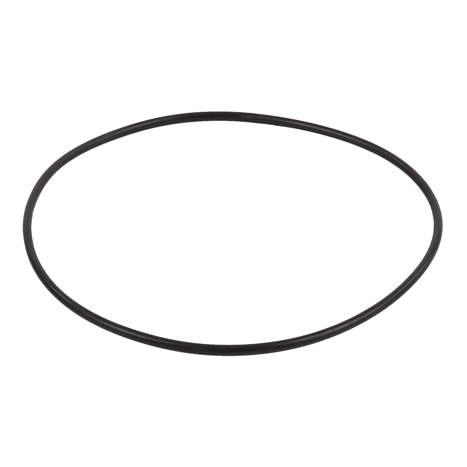 FINN FILTER O RING OR10019 (LONG FINN)