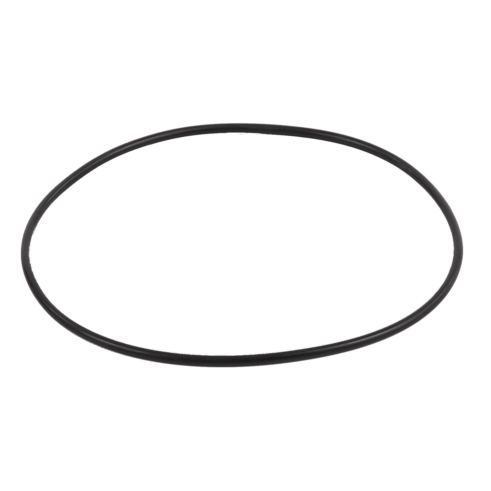 FINN FILTER O RING OR10019 (LONG FINN)