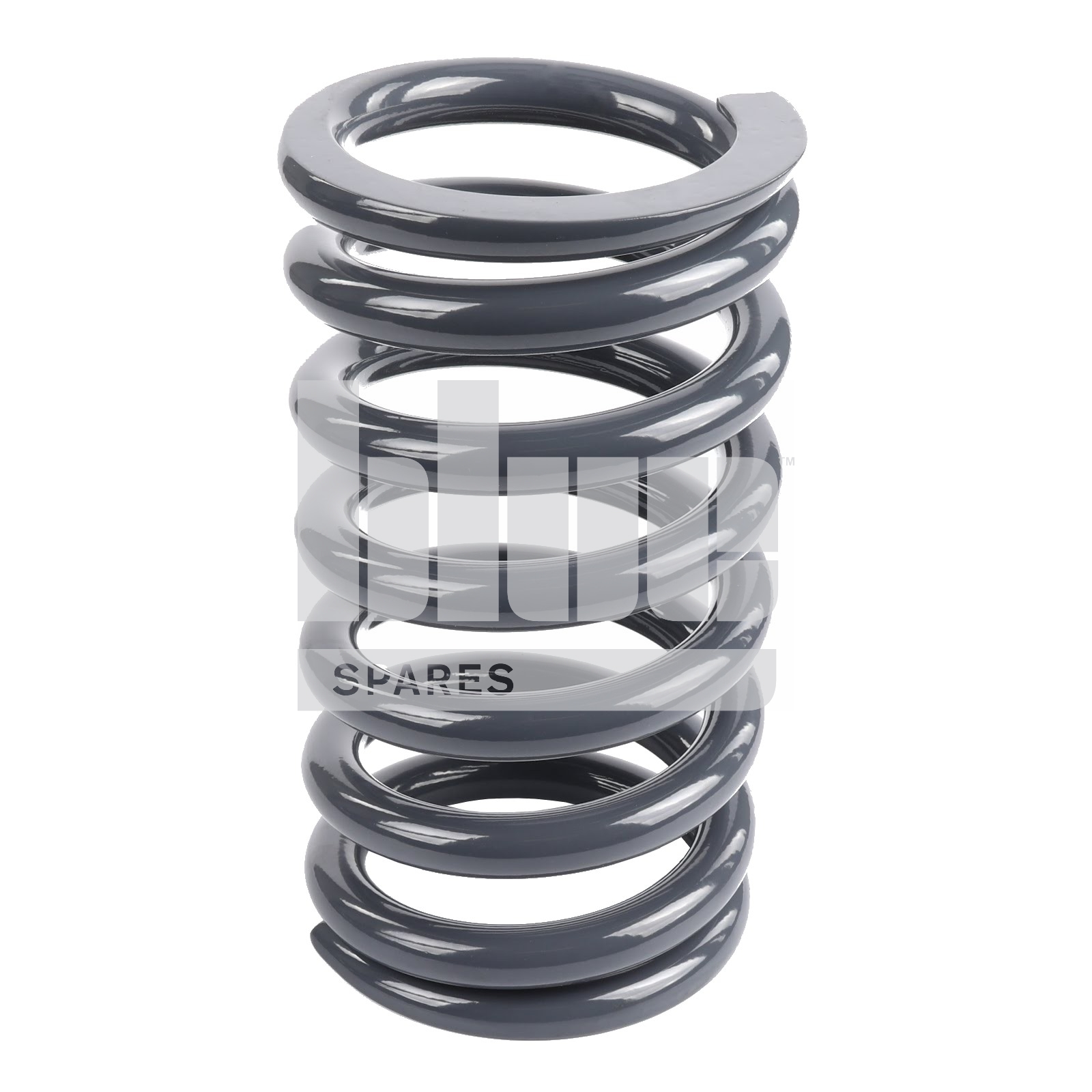19X100DX255 FL SPRING
