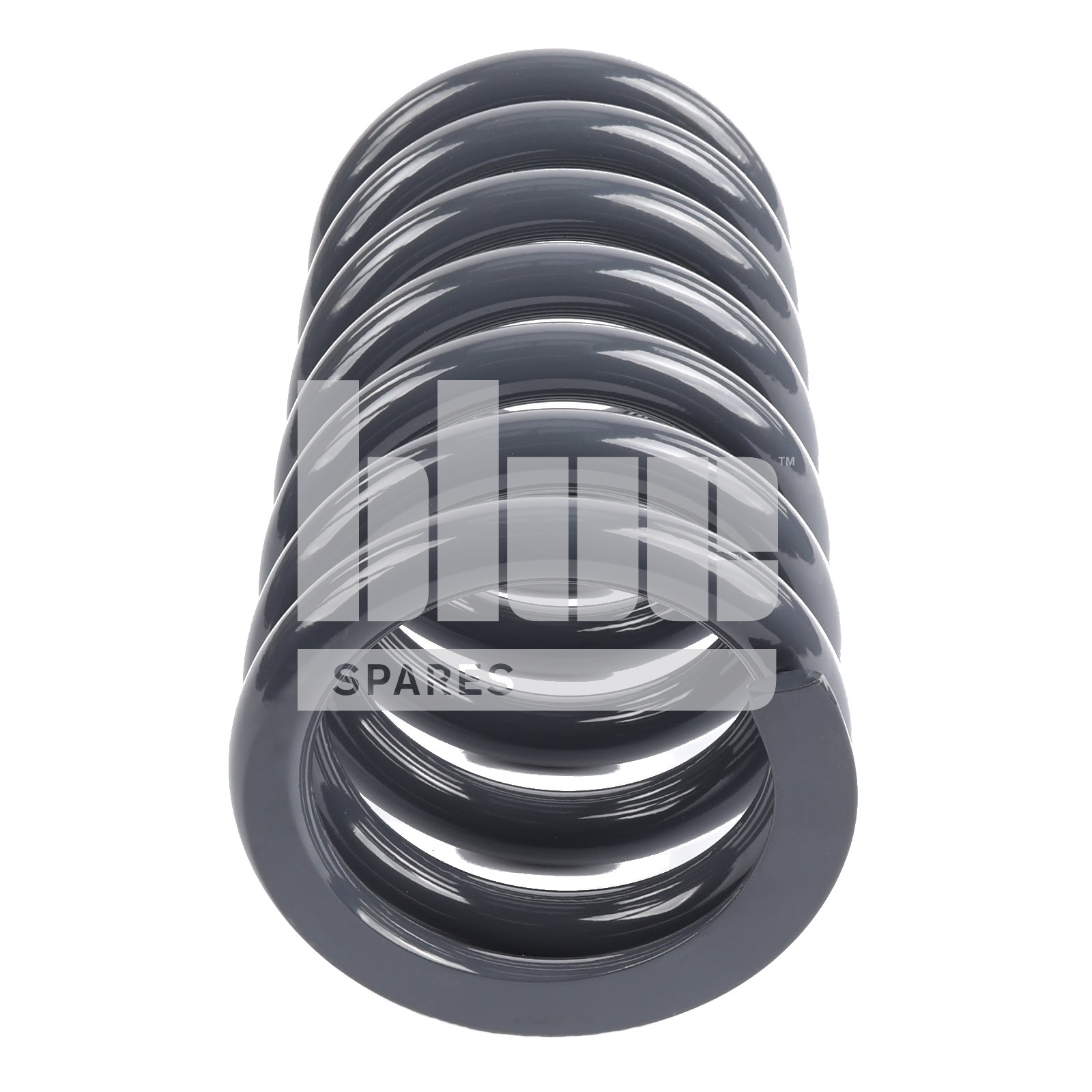 19X100DX255 FL SPRING