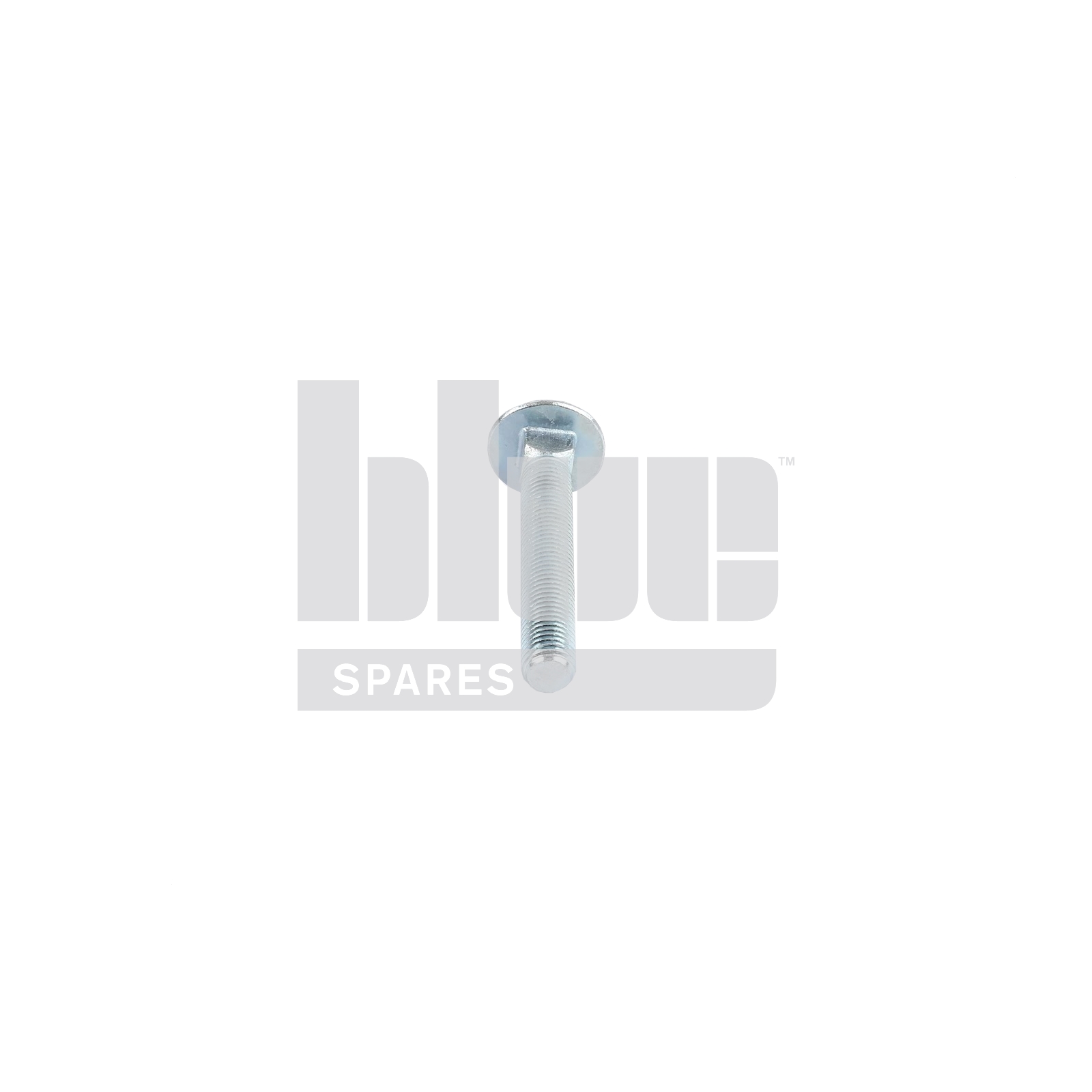 2100 CHIEFT SCREEN CLAMP COACH BOLT