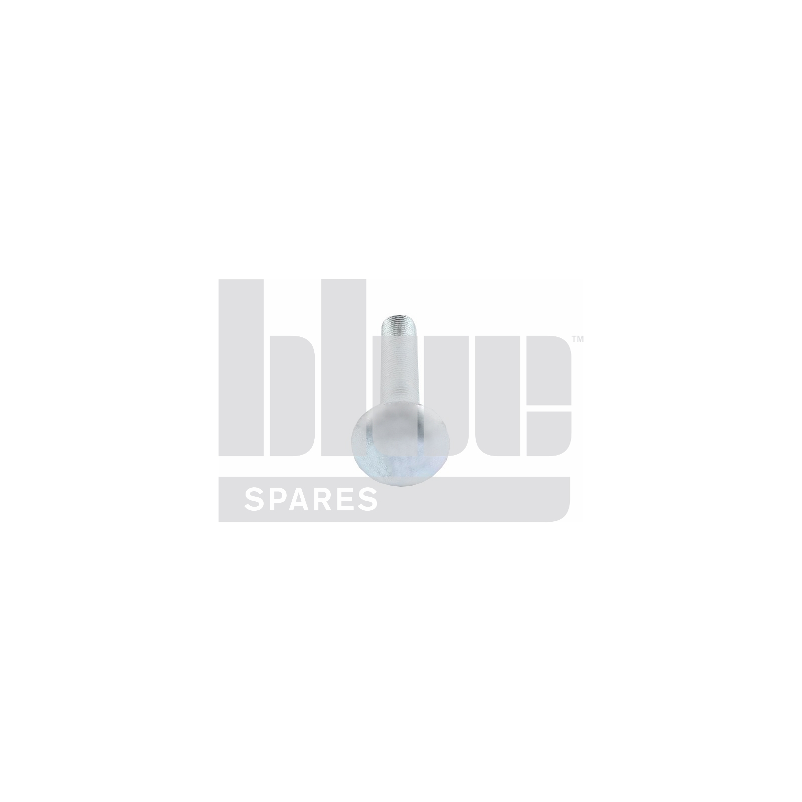 2100 CHIEFT SCREEN CLAMP COACH BOLT