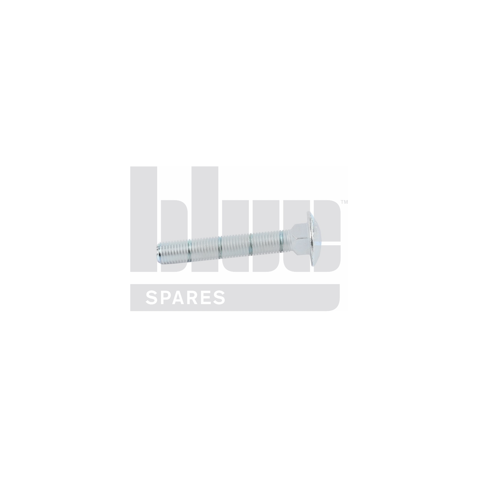 2100 CHIEFT SCREEN CLAMP COACH BOLT