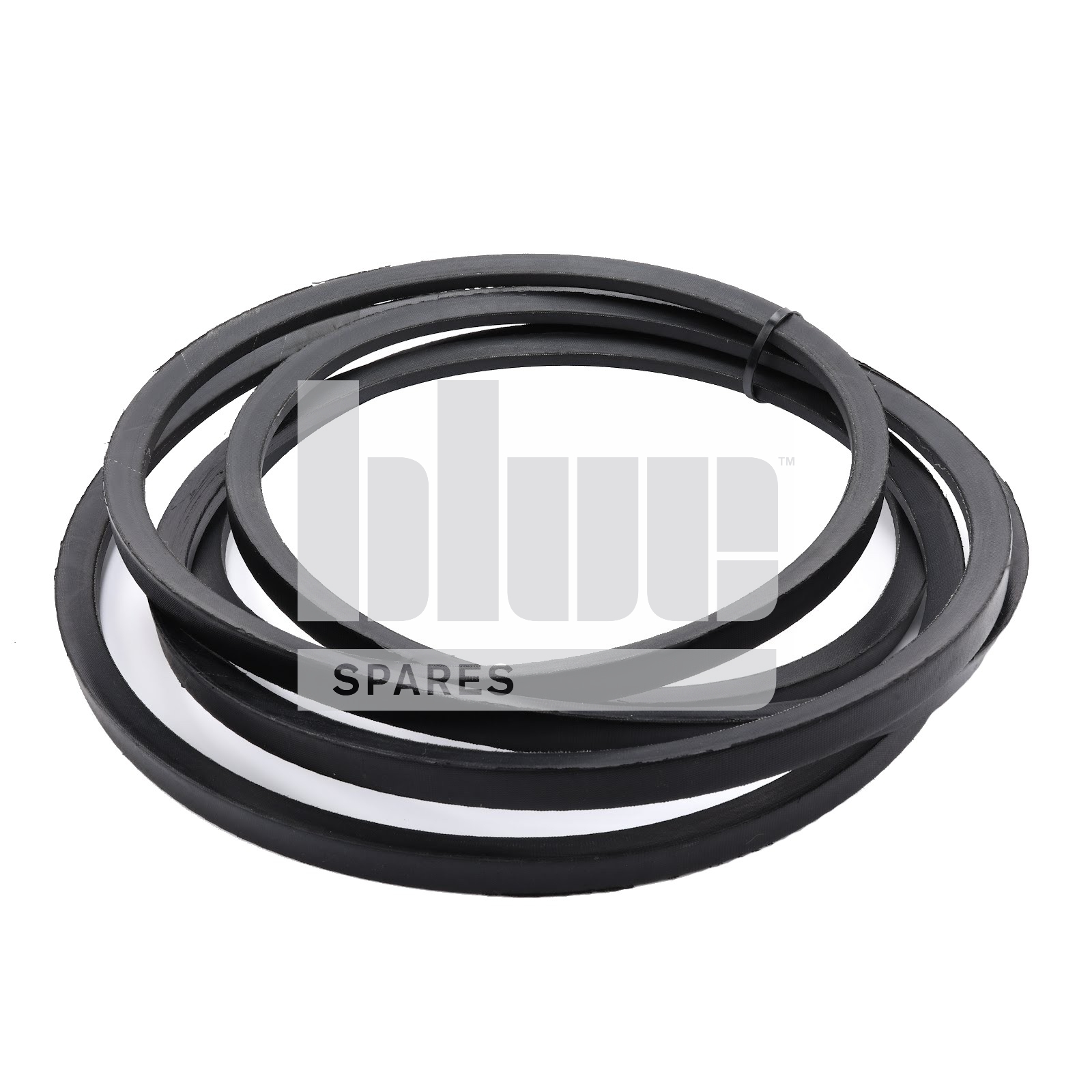 DRIVE BELT (FOR STANDARD CHAMBER)