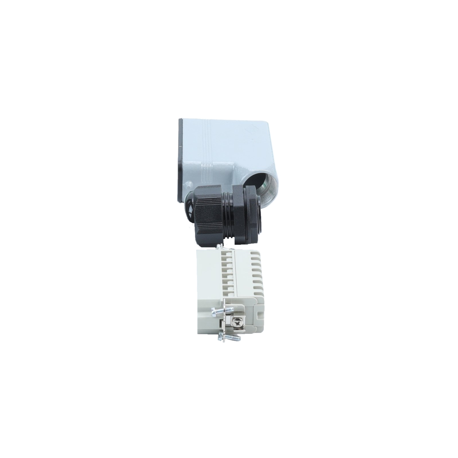PLUG FOR UMBILICAL