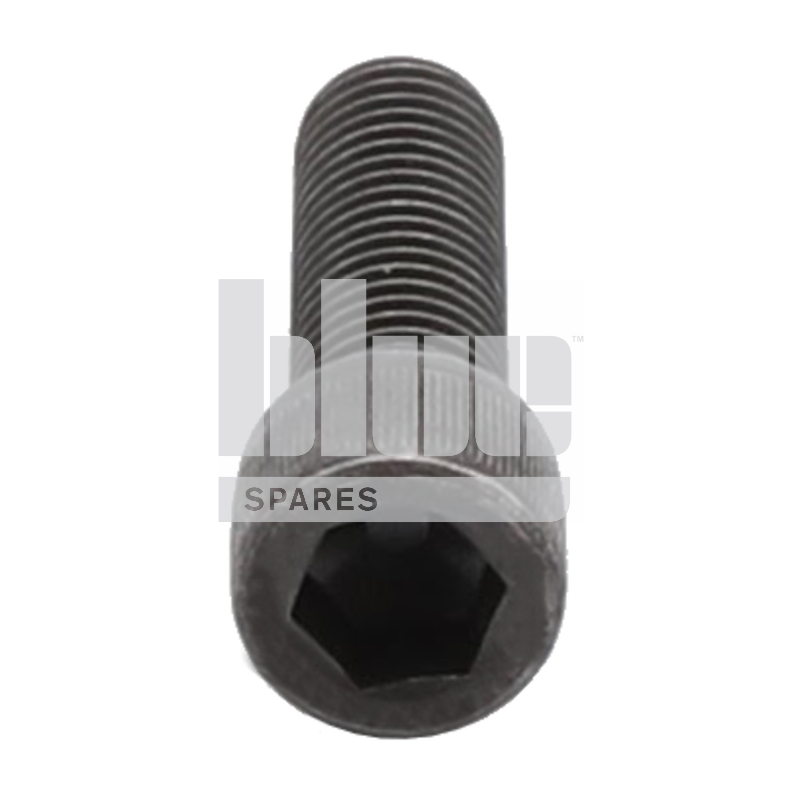 CAP SCREW