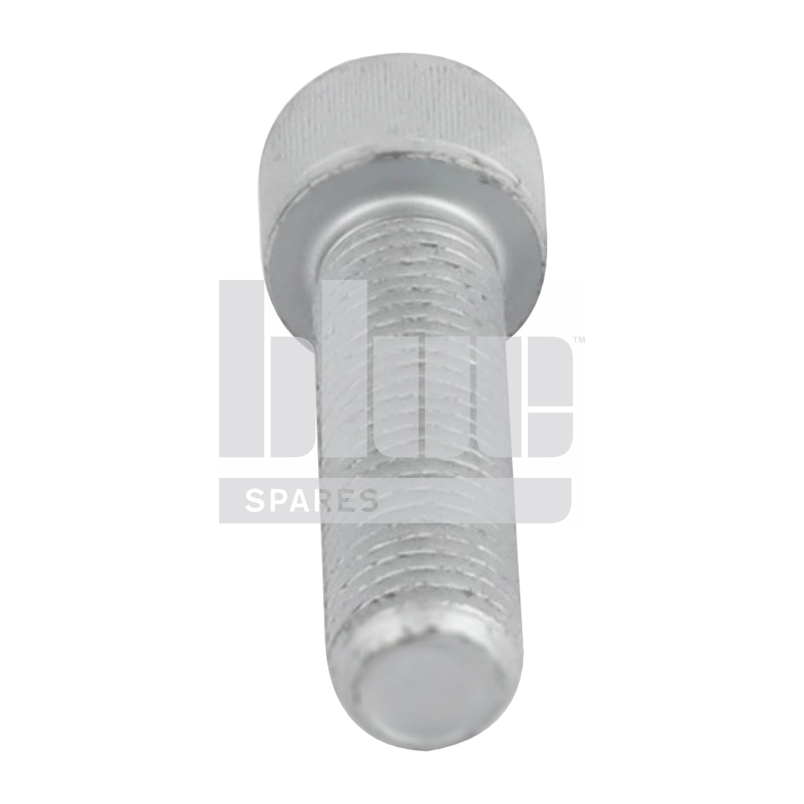 CAP HEAD SCREW M16X55