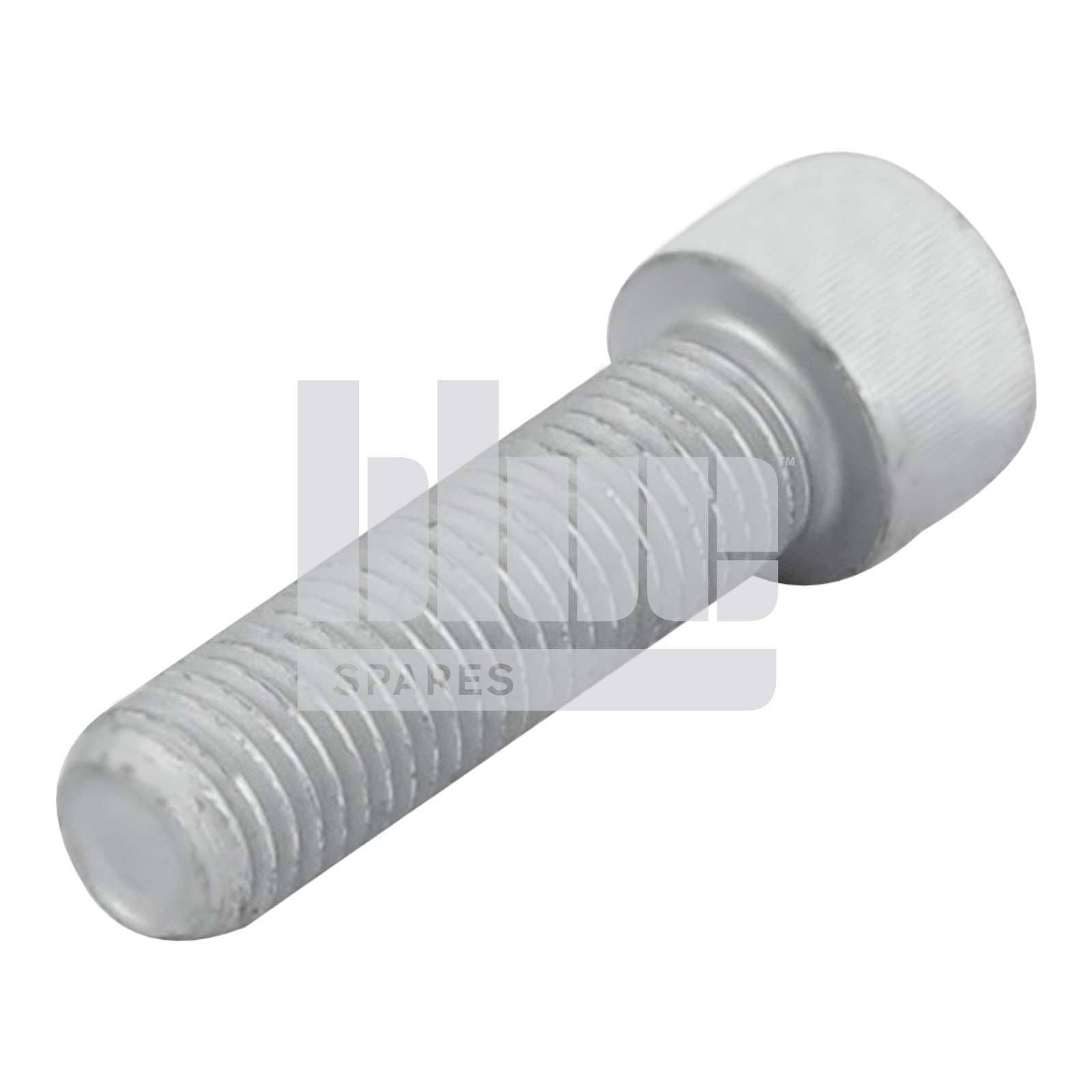 CAP HEAD SCREW M16X55
