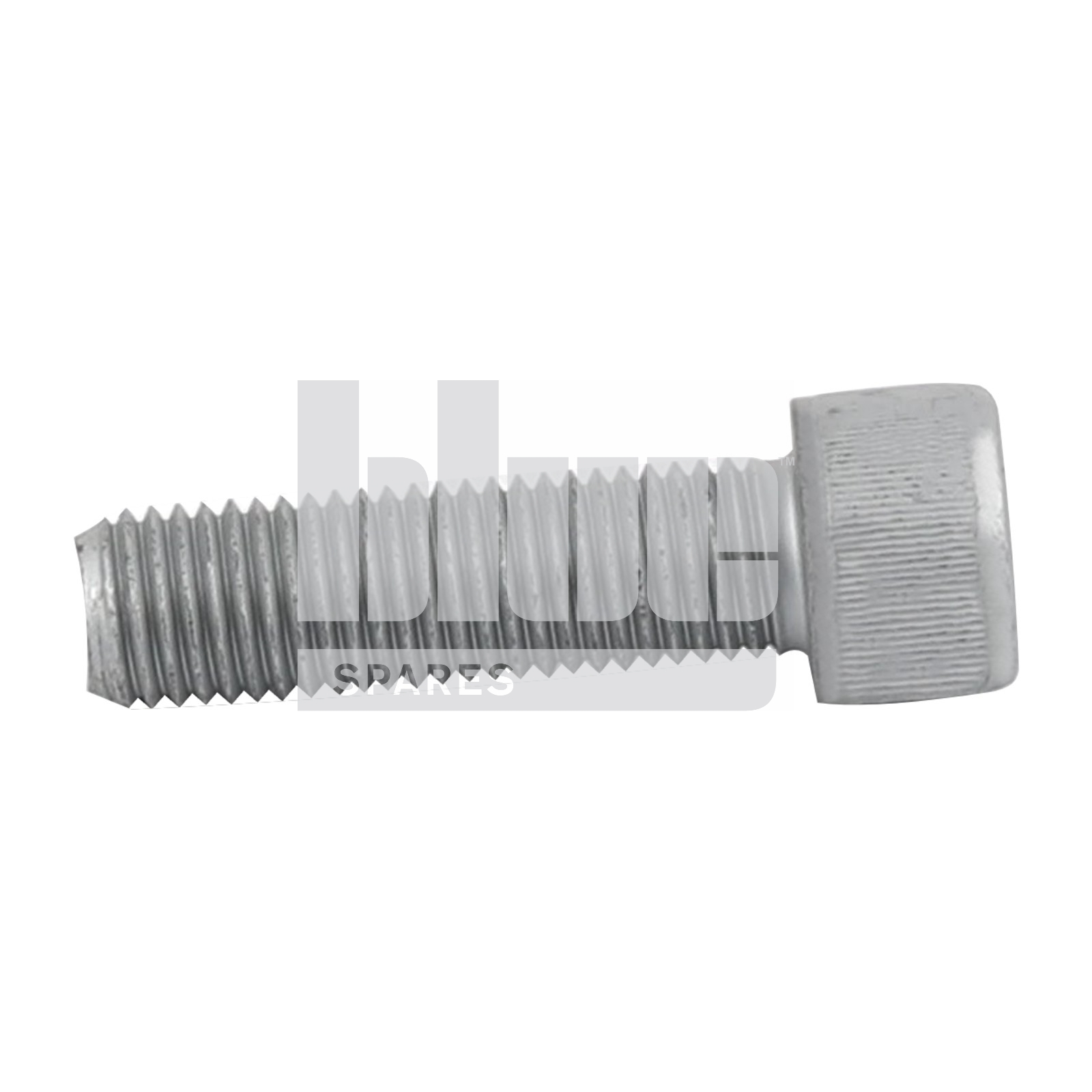 CAP HEAD SCREW M16X55