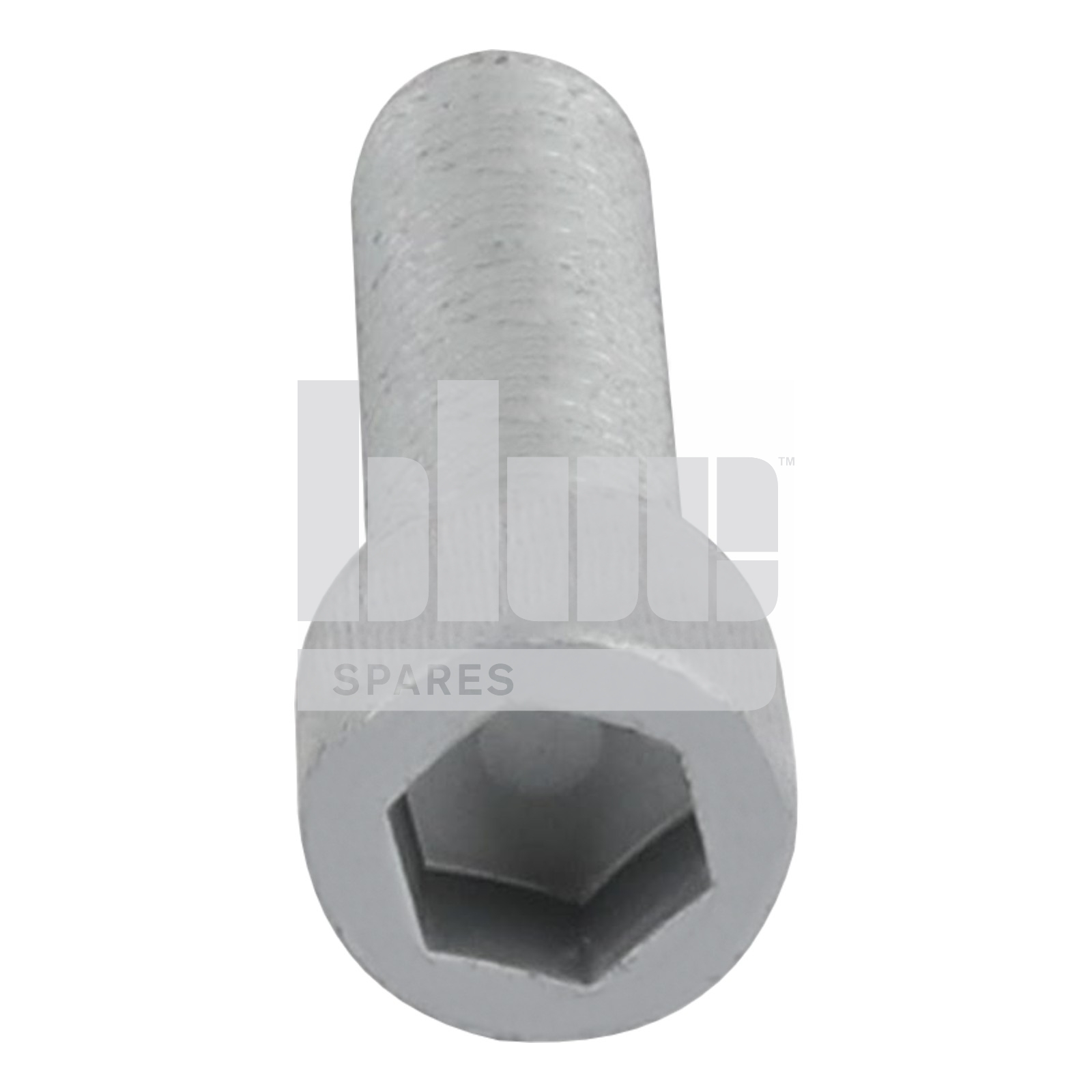 CAP HEAD SCREW M16X55