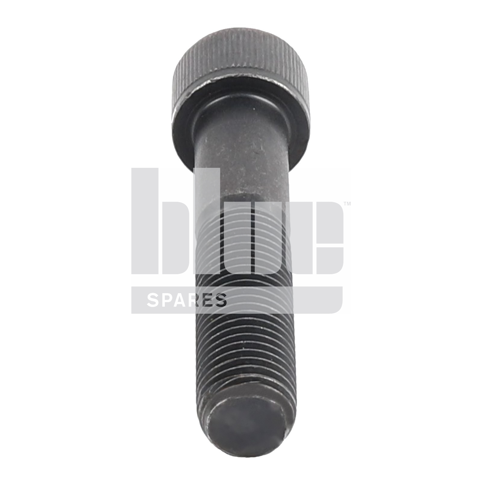 CAPSCREW M20X100 12.9