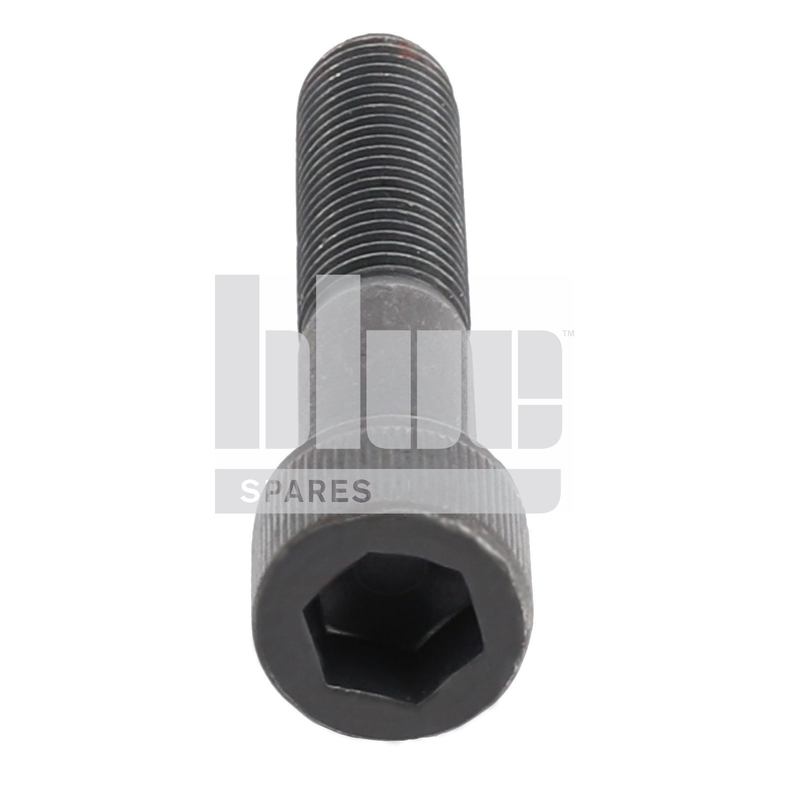 CAPSCREW M20X100 12.9