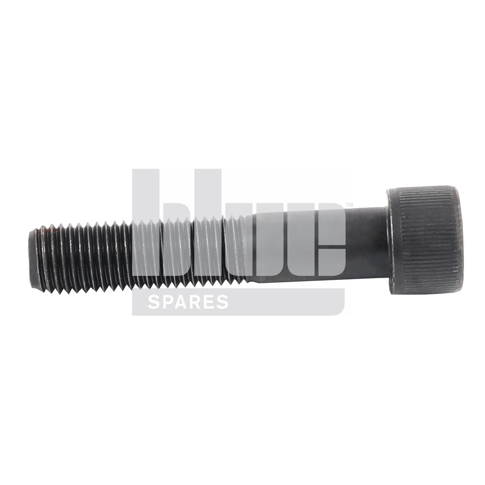 CAPSCREW M20X100 12.9