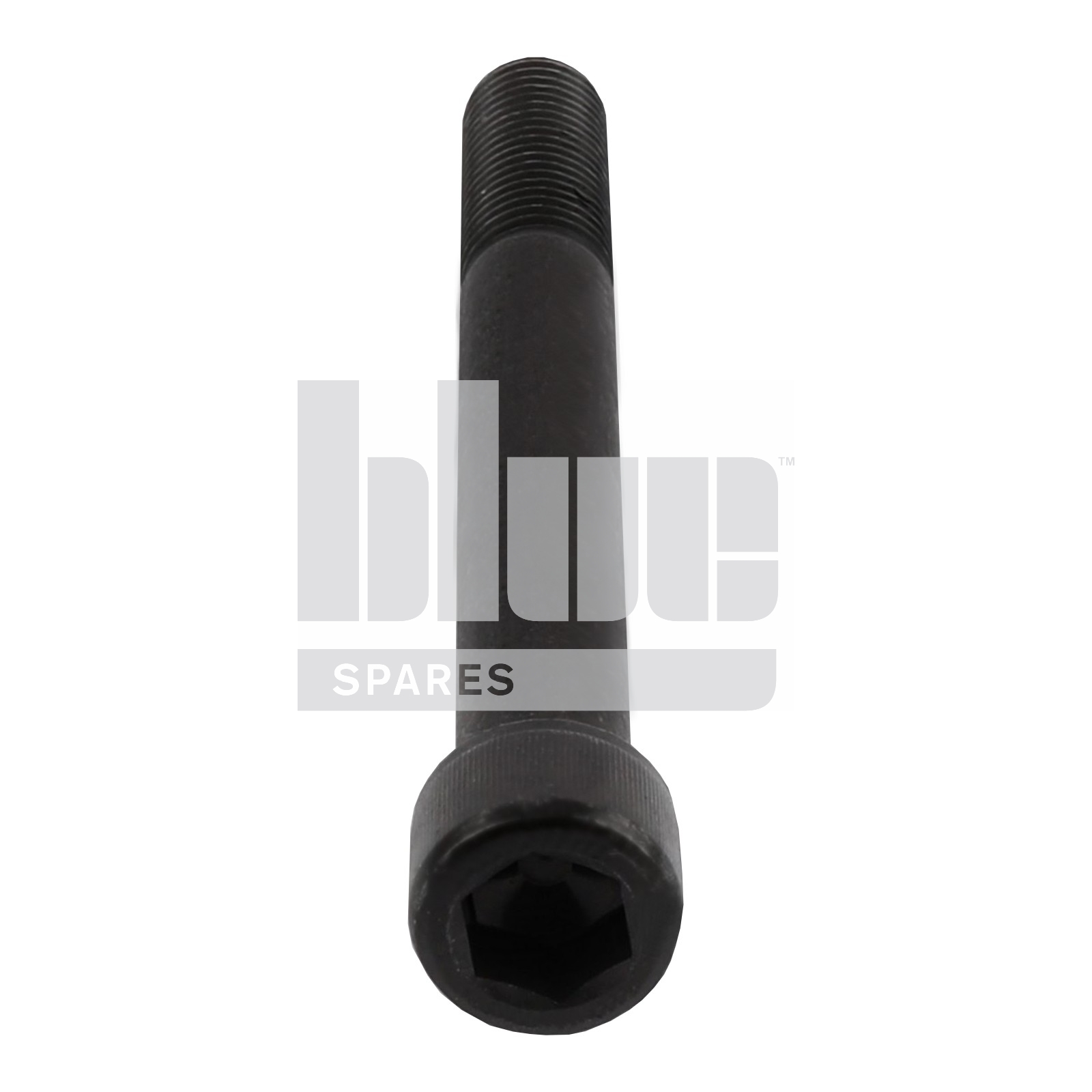 CAPSCREW M20X180