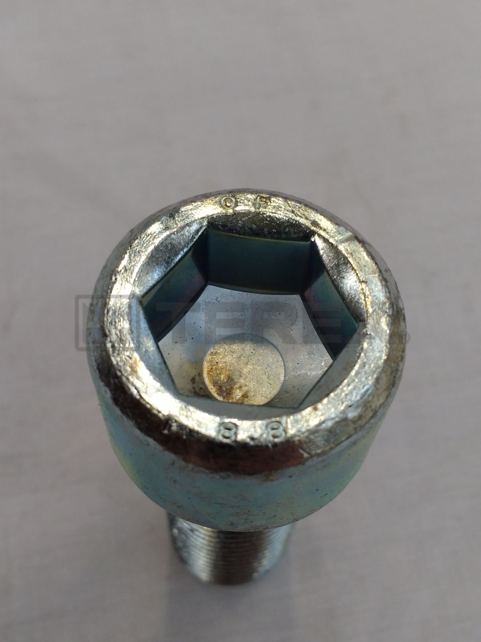 M20 X 55 MM 8.8 CAP HEAD