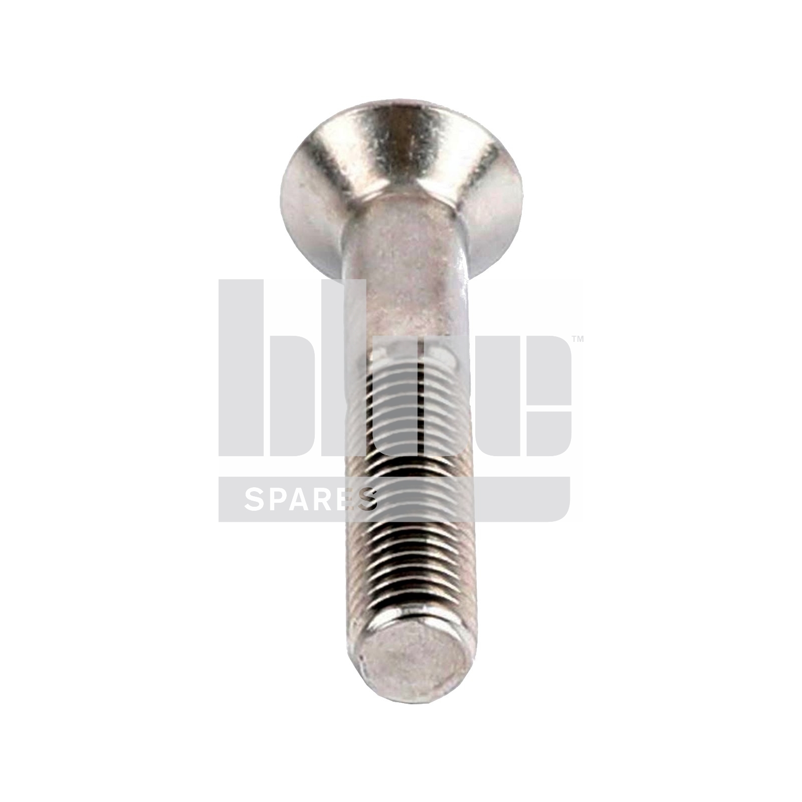 M12X70 SOCKET SCREW CSK STAINLESS