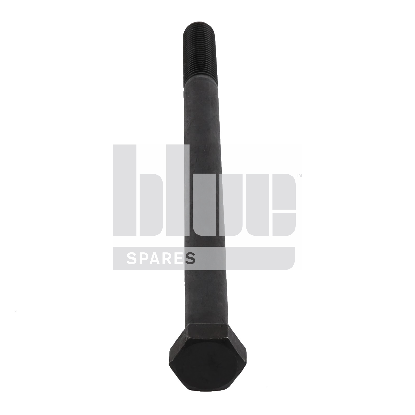 M20-2.50 X 300 BLACK HEX HEAD BOLT GR 8.8 DIN931
