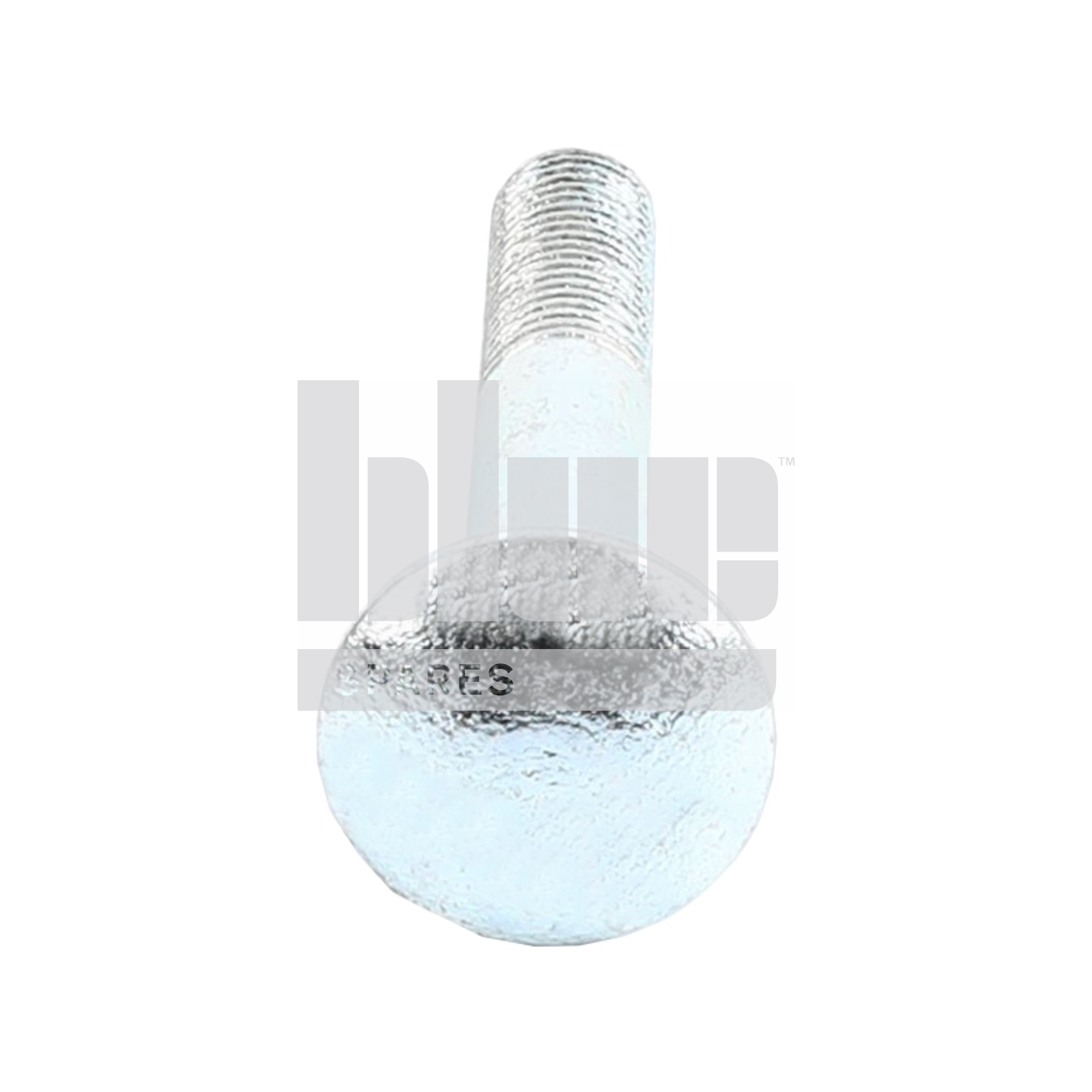 COACHBOLT M16 X 100