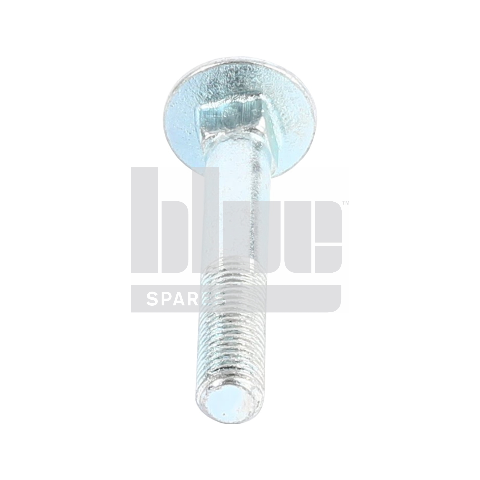 COACHBOLT M16 X 100