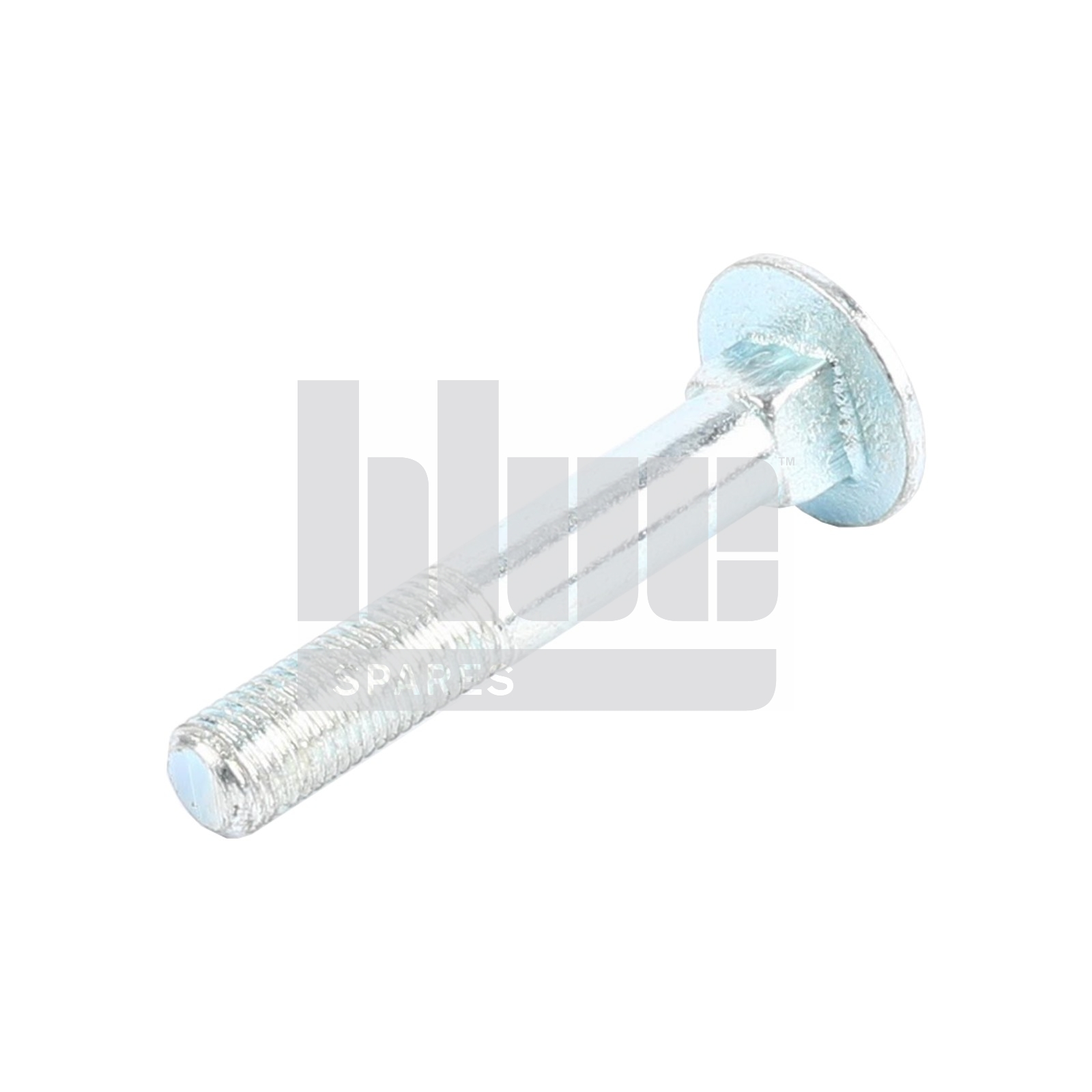 COACHBOLT M16 X 100