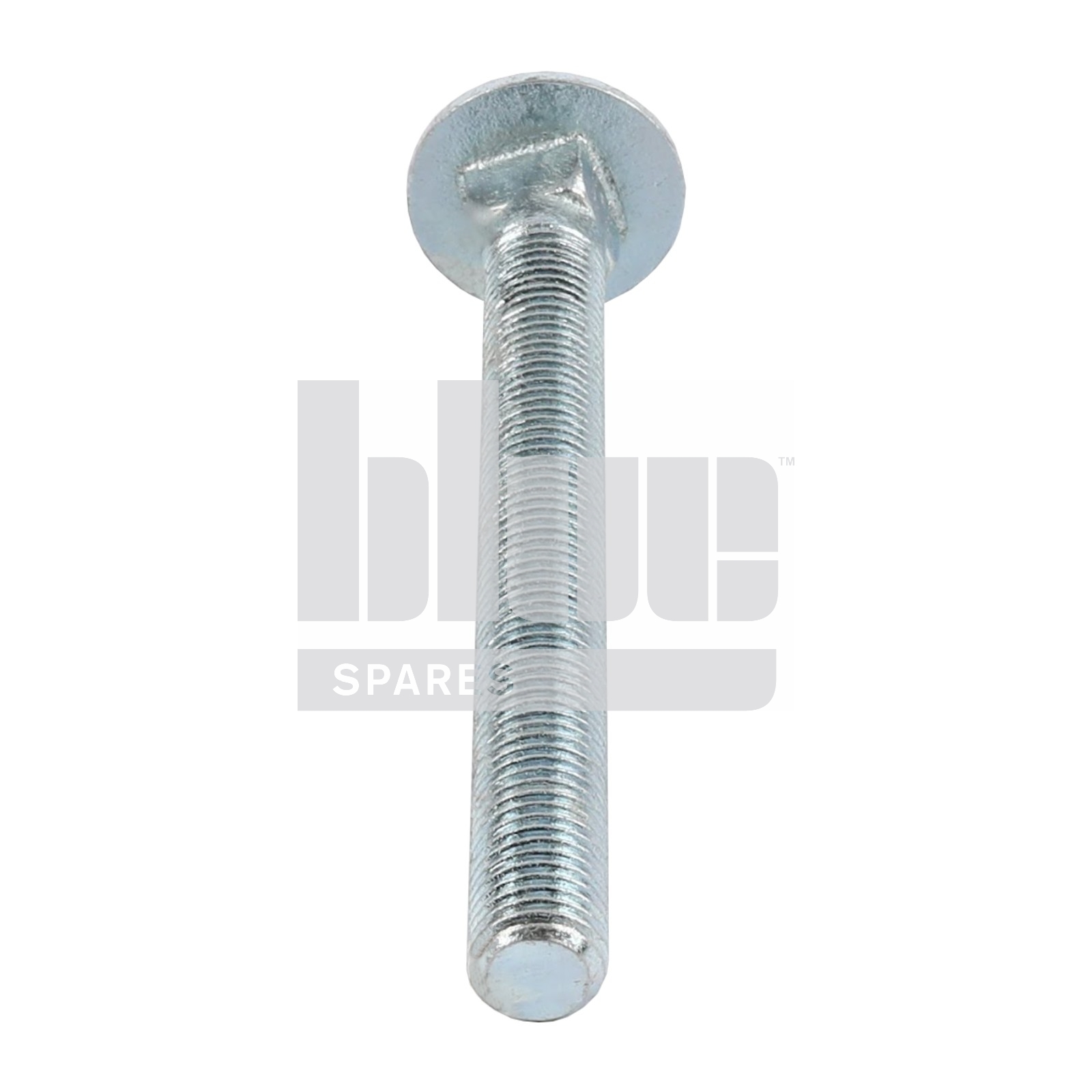M20X190 GR 8.8 BZP COACH BOLT
