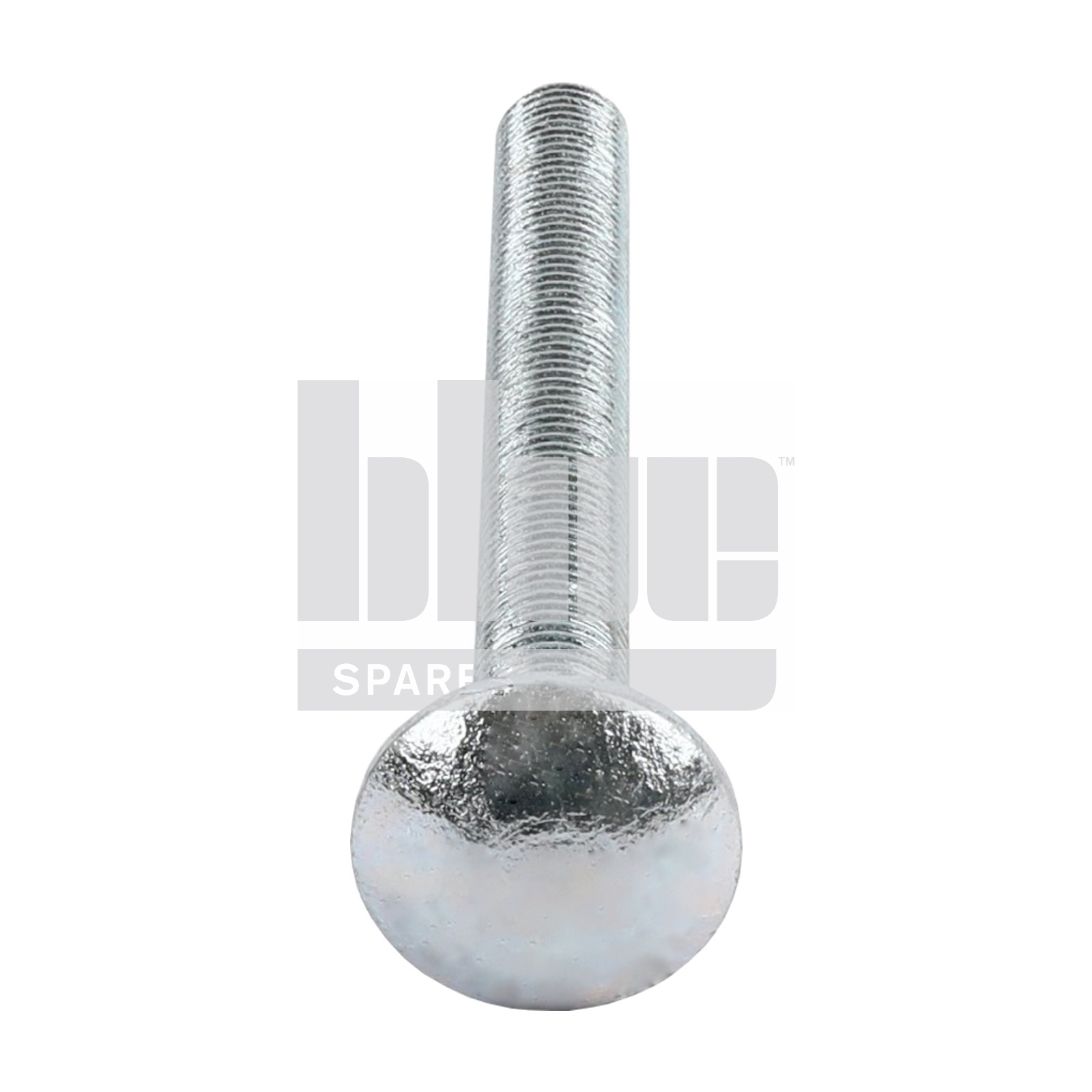 M20X190 GR 8.8 BZP COACH BOLT