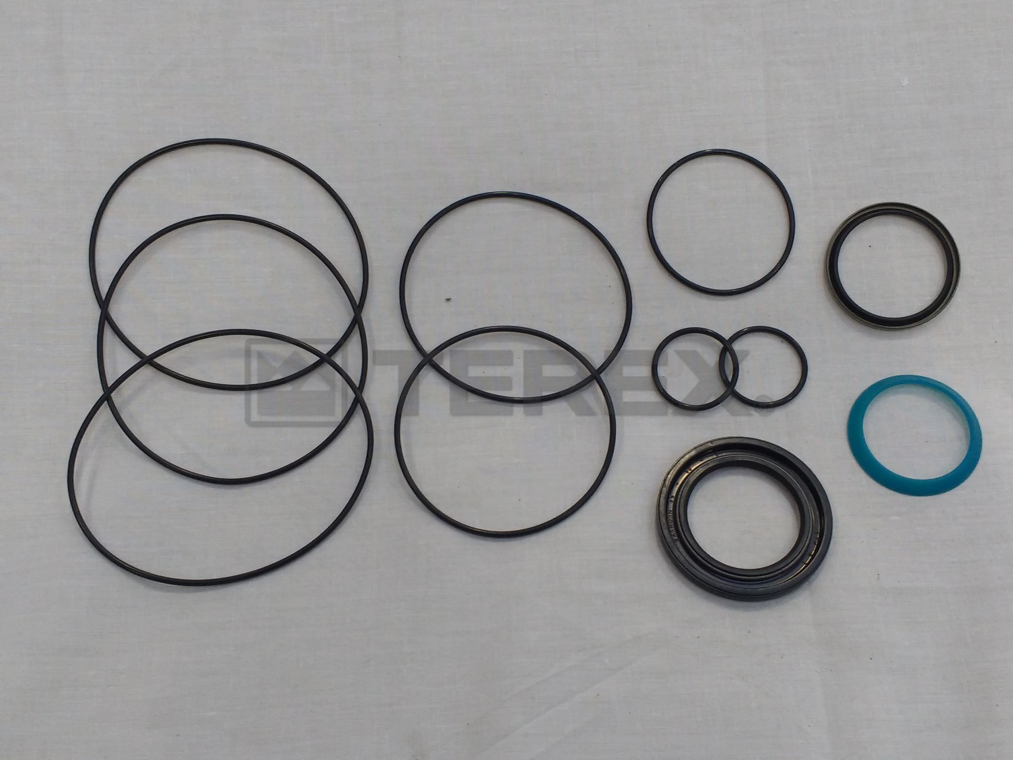 OMS SEAL KIT