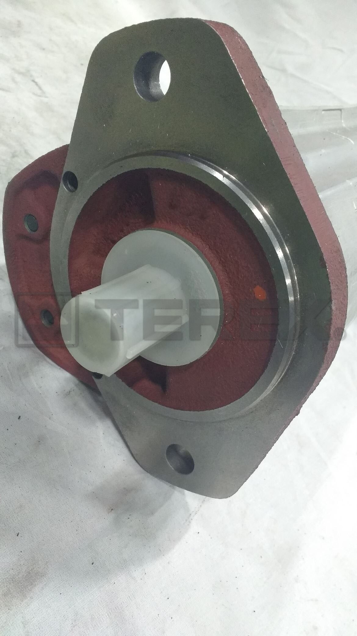 2PL146/2PL146 CSSFFBN