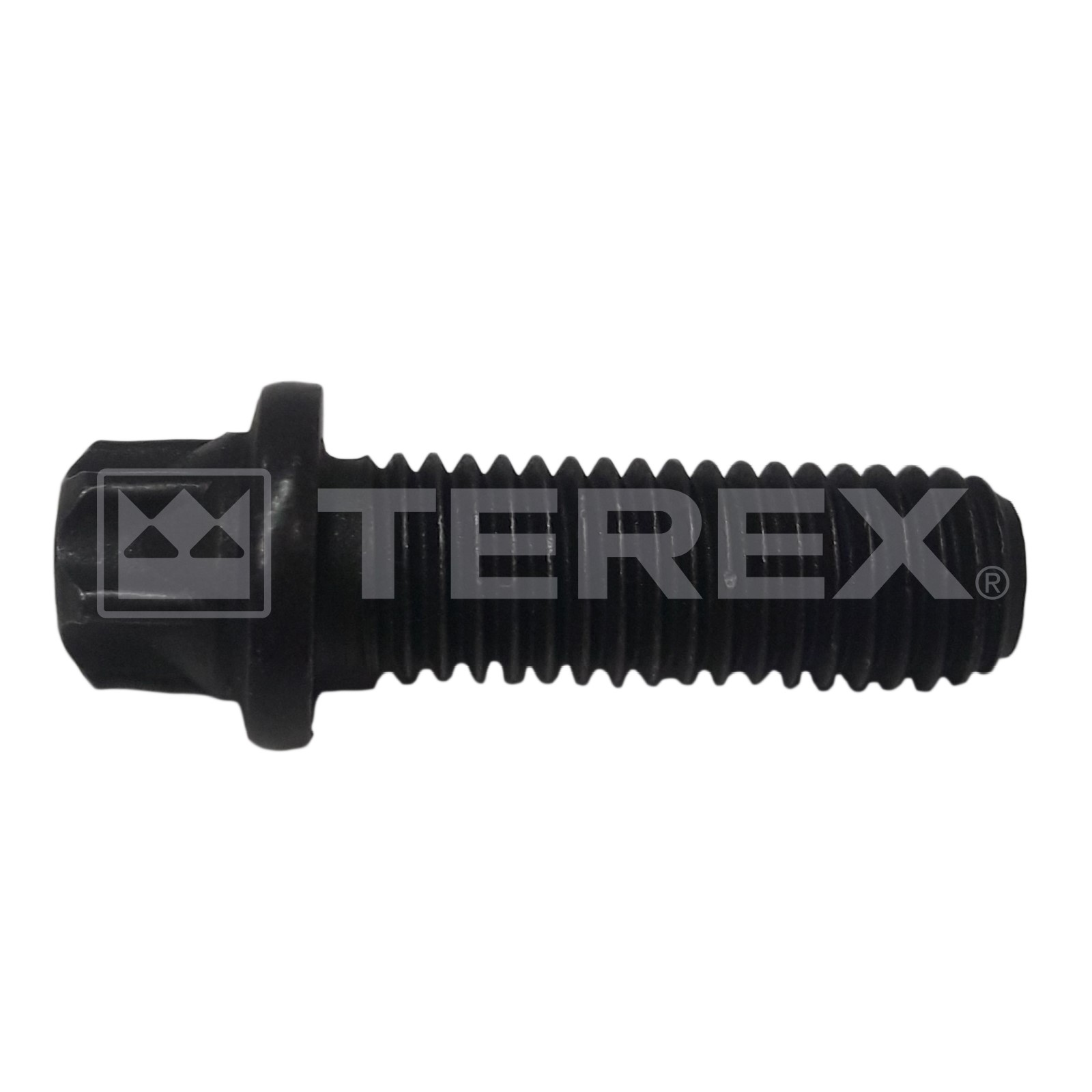 BOLT TORX