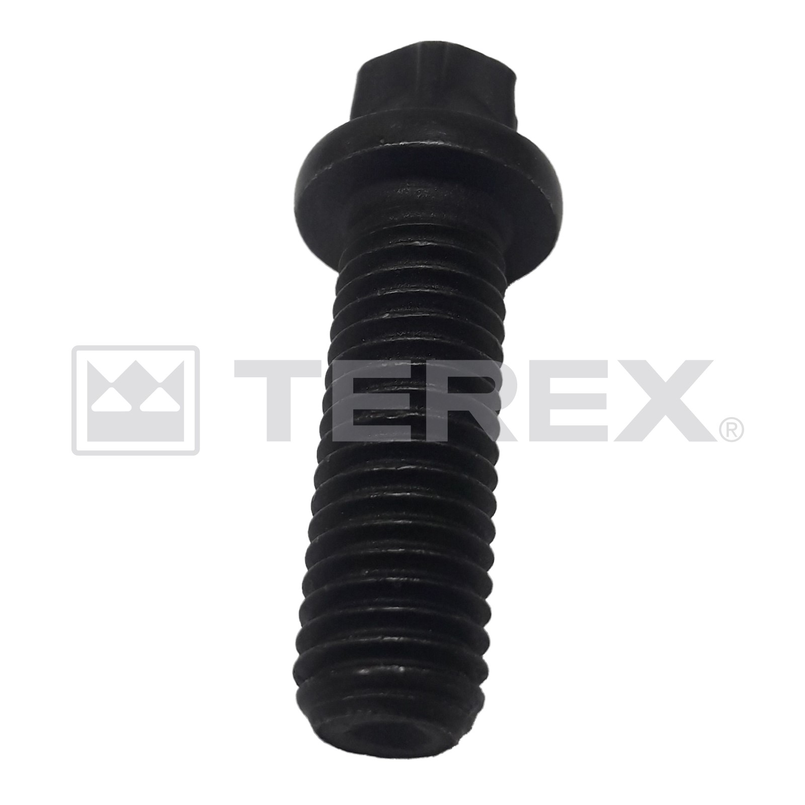 BOLT TORX