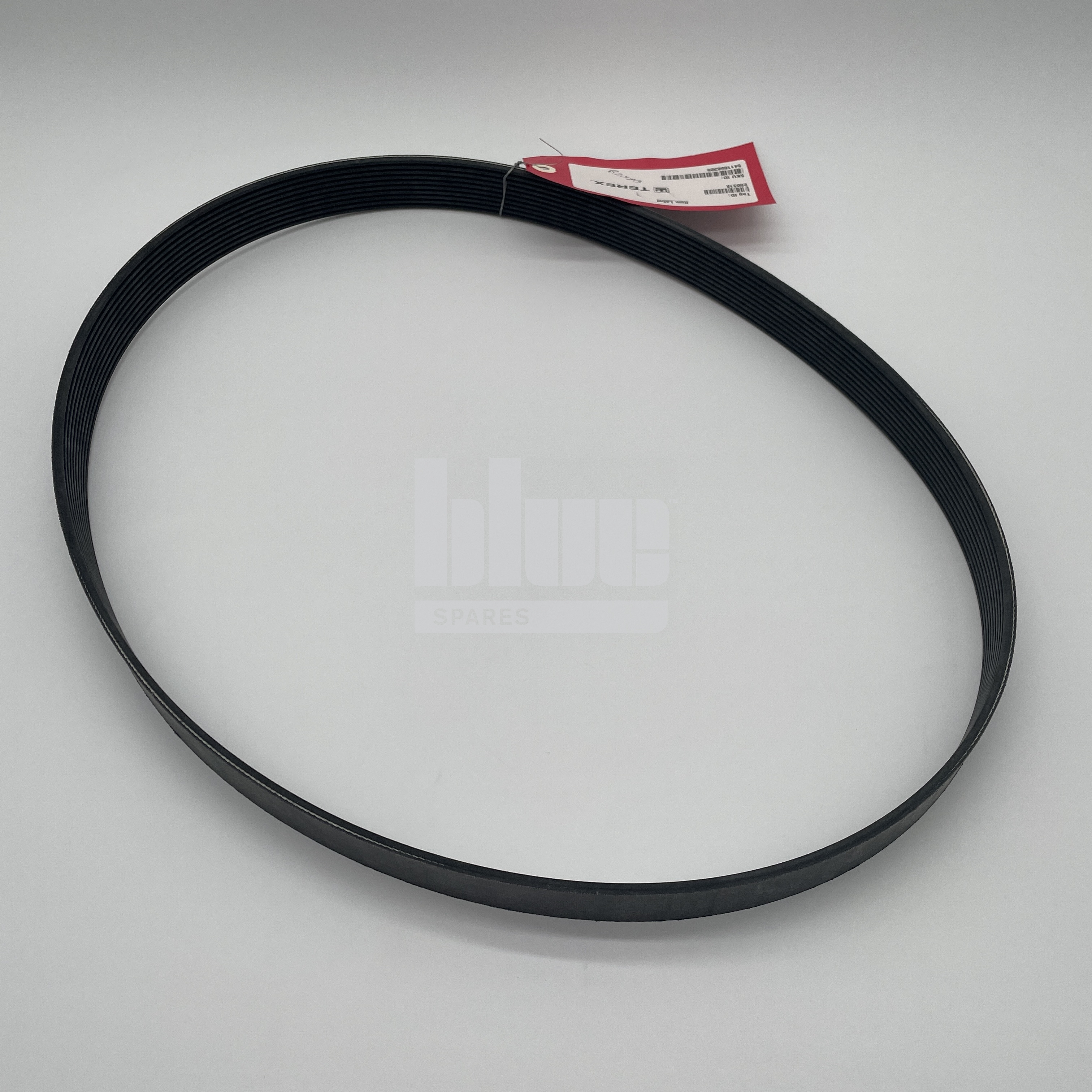 BELTS ALTERNATOR L=1343