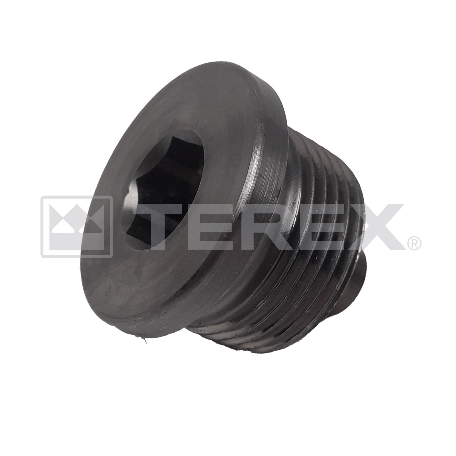 MAGNETIC SCREW