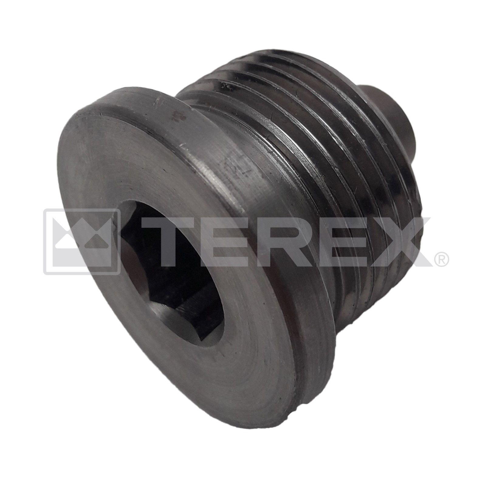 MAGNETIC SCREW