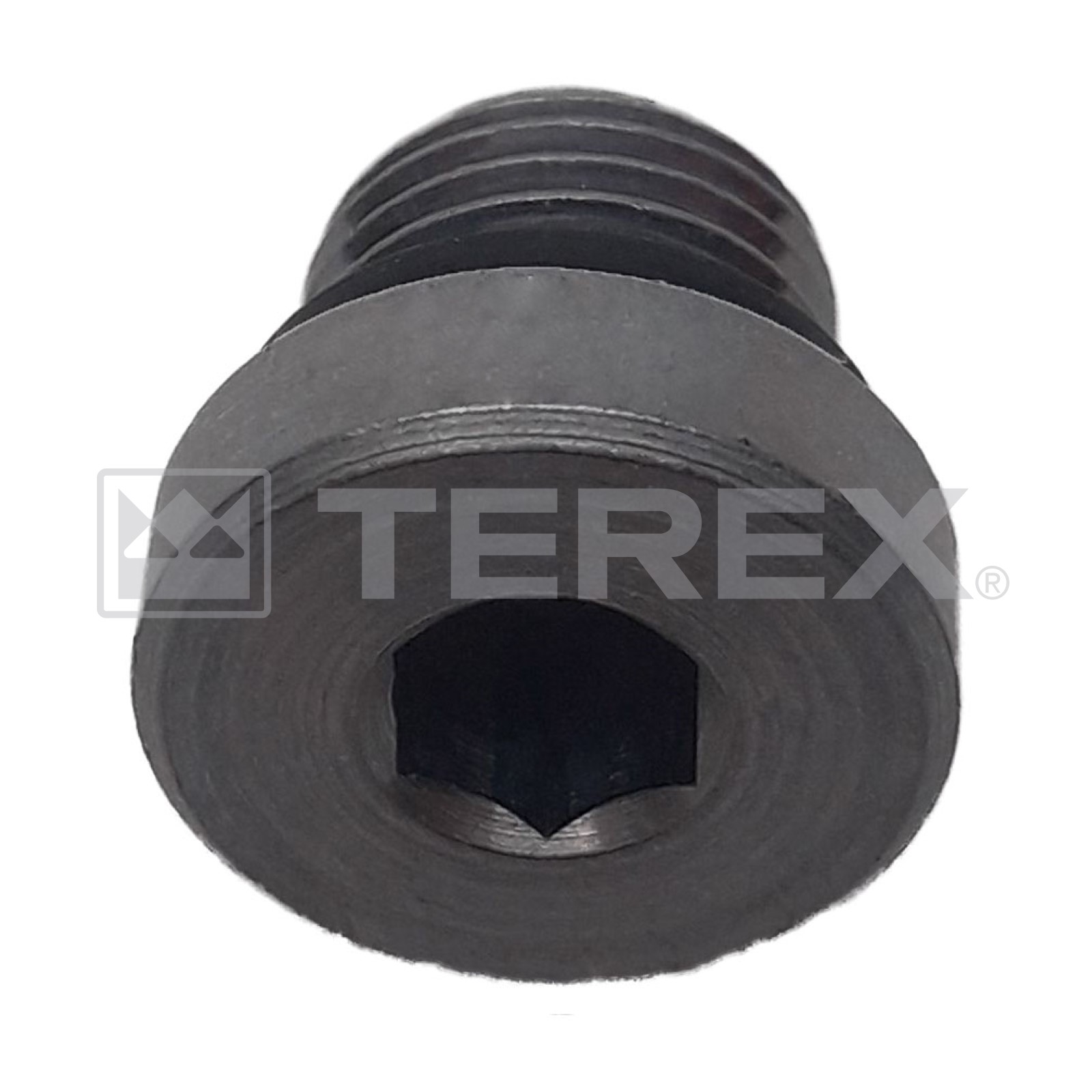 SCREW PLUG