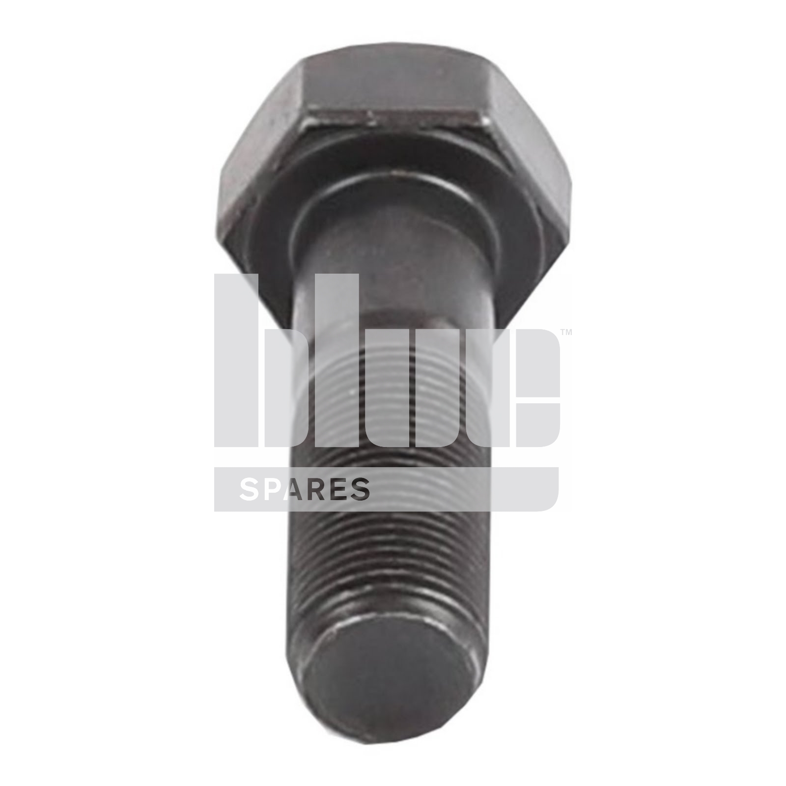 VFT694 SHOE BOLTS