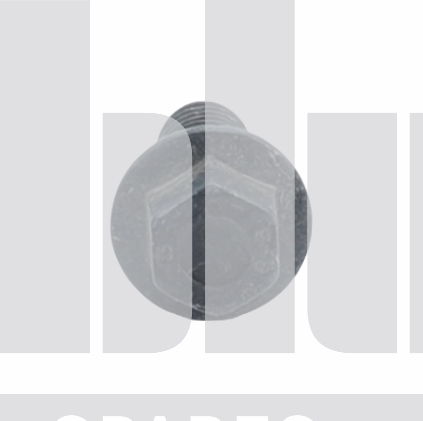 RADIATOR MOUNT SCREW