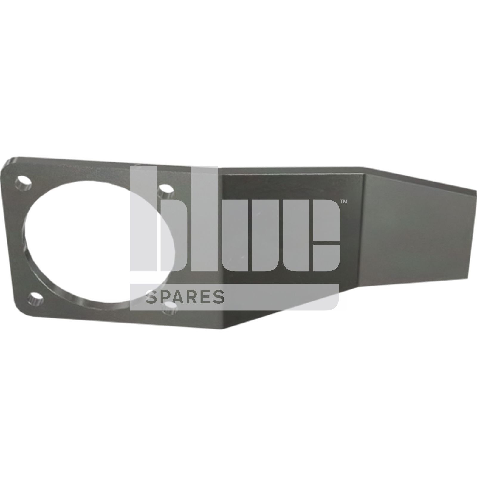 TORQUE PLATE ASM
