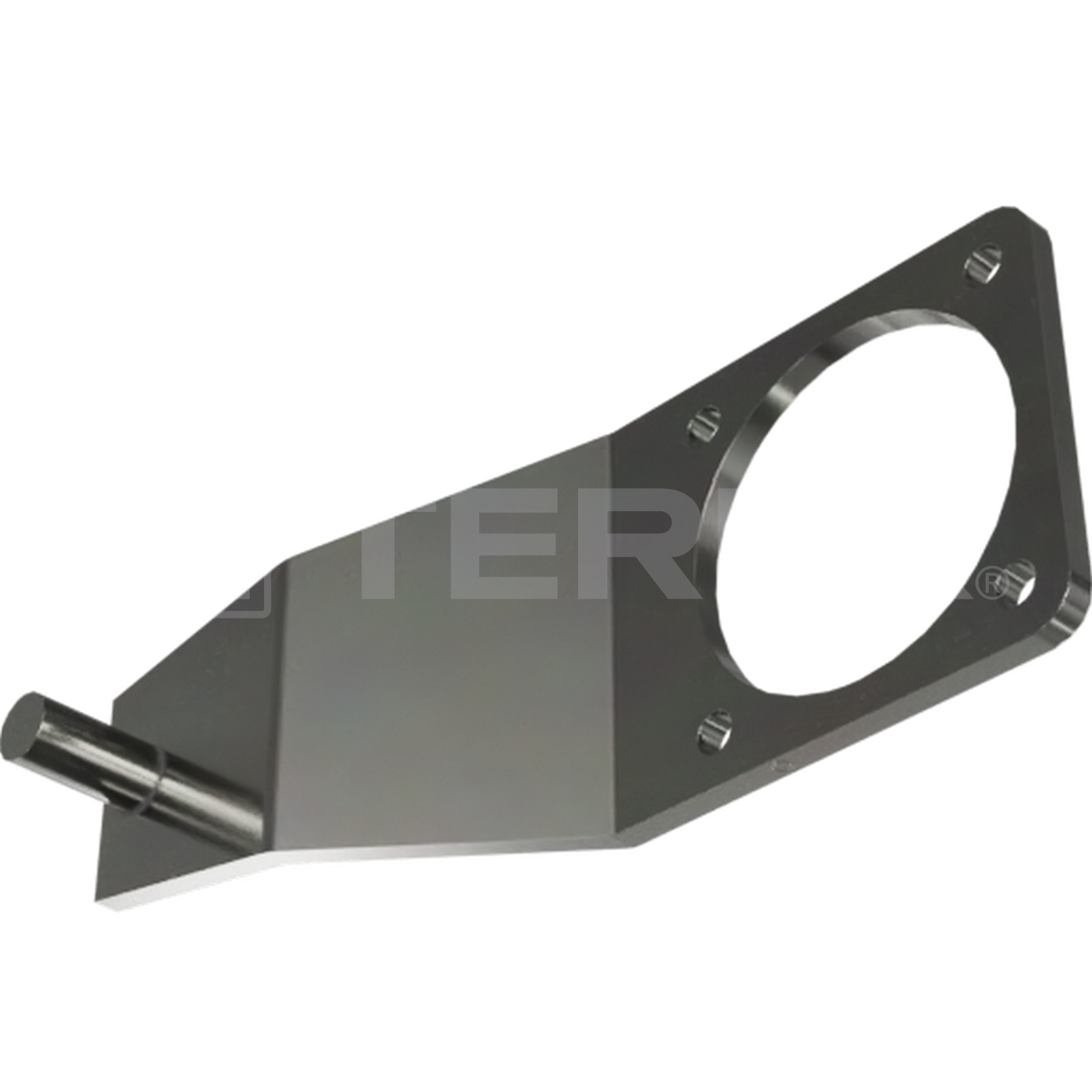 TORQUE PLATE ASM