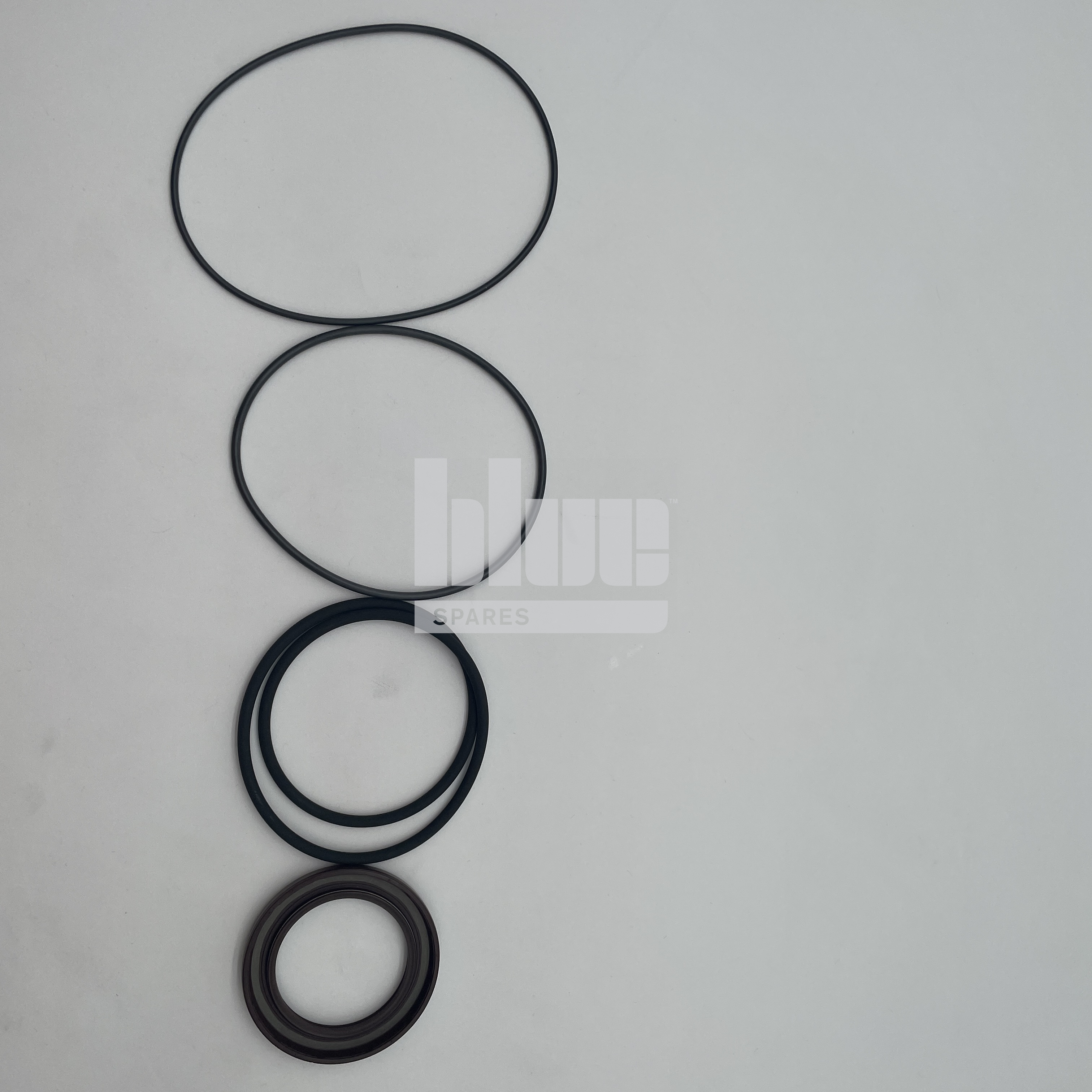 HYDRAULIC MOTOR SEAL KIT